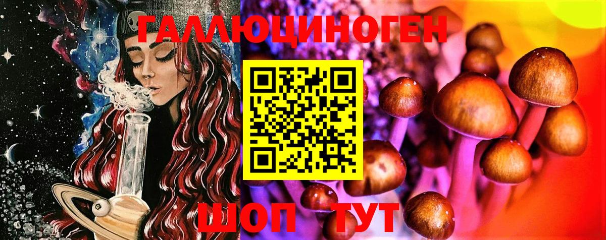 Галлюциногенные грибы Magic Shrooms  Галлюциногенные грибы GOLDEN TEACHER  Вход с VPN  купить   Луга 