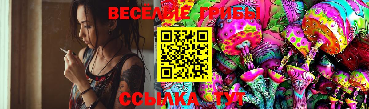 Псилоцибиновые грибы ЛСД Луга